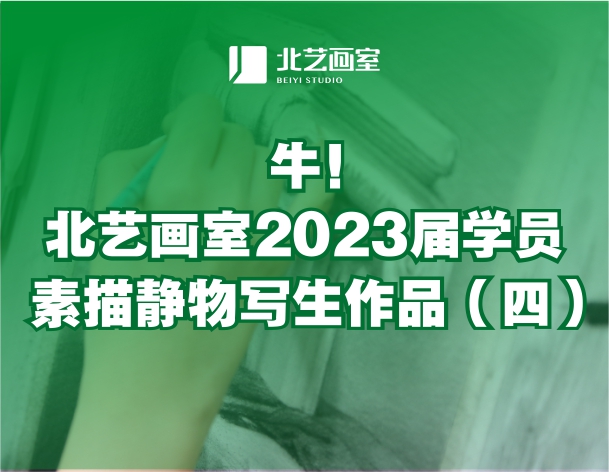 牛！北藝畫室2023屆學(xué)員素描靜物寫生作品（四）