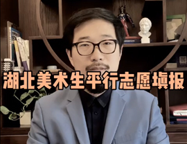 湖北美術(shù)生平行志愿的填報要點(diǎn)