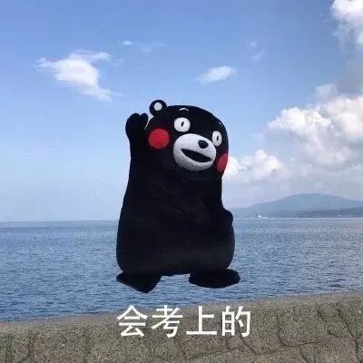 會(huì)考上的