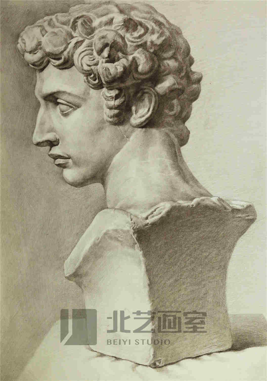 素描石膏像作品賞析——小衛(wèi)側(cè)面