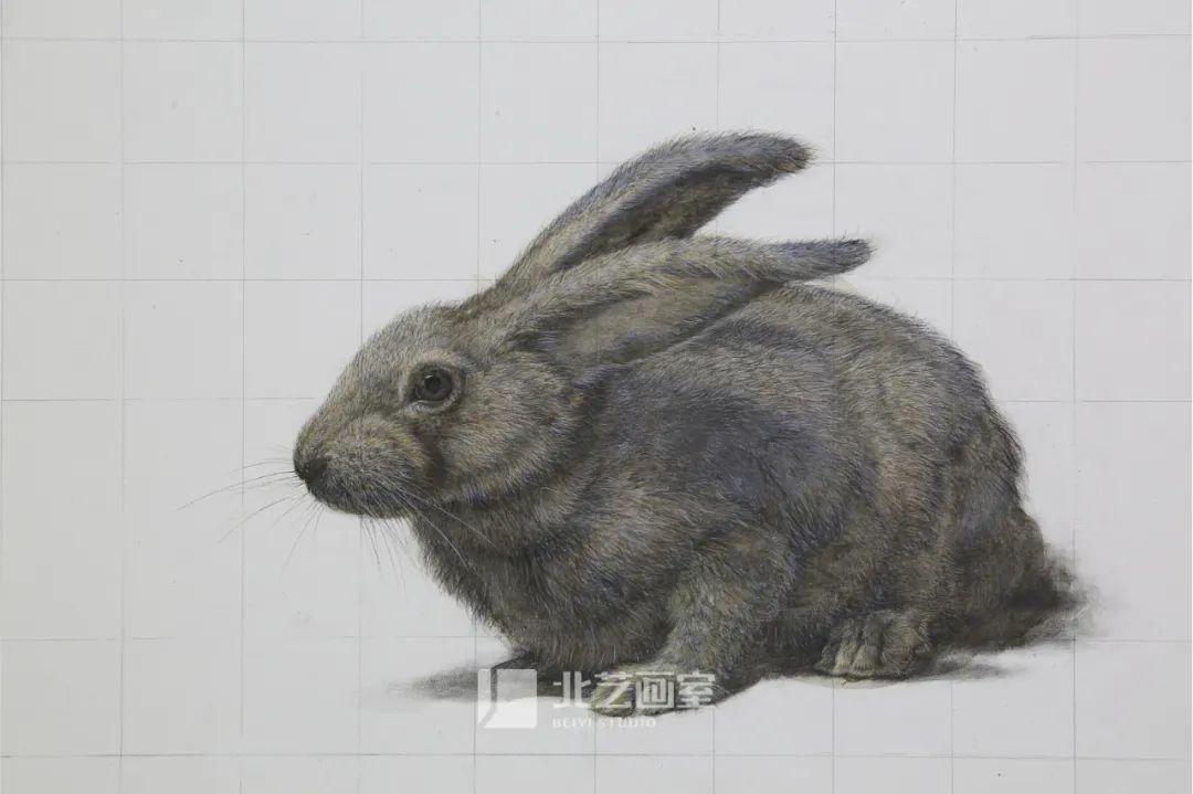 太吸睛！一大波北藝新素描作品來(lái)襲~