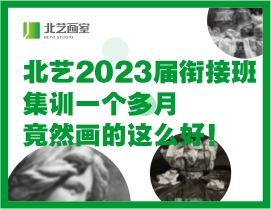 北藝2023屆銜接班集訓(xùn)才一個(gè)多月，竟然畫的這么好