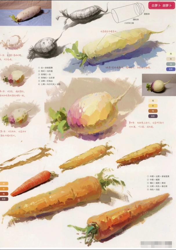 蔬菜水粉畫簡單畫法步驟介紹